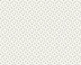 Tapeta na flizelinie niemieckiej firmy A.S. Creation z kolekcji Bjorn. Ten wzór to bardzo małe, drobne srebrne wzorki na białym tle.