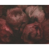 Tapeta 37392-4 Bordowe Róże