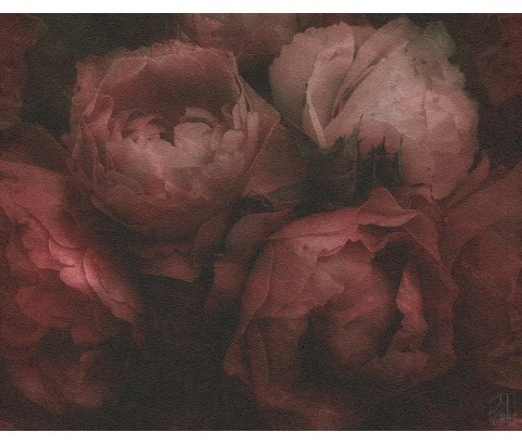 Tapeta 37392-4 Bordowe Róże
