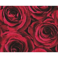 Tapeta 37004-2 Czerwone róże