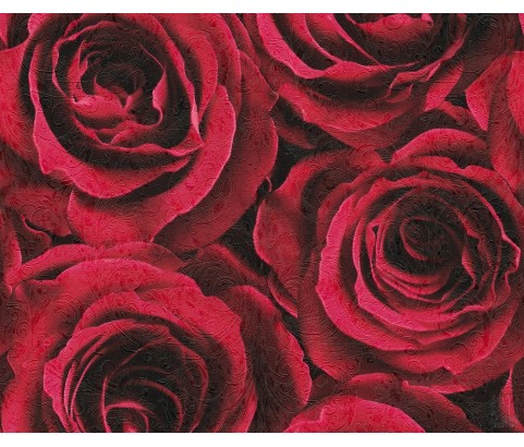 Tapeta 37004-2 Czerwone róże
