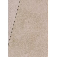 Fototapeta Las we mgle