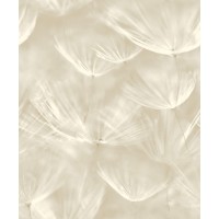 Tapeta 210901 Białe naturalne dmuchawce