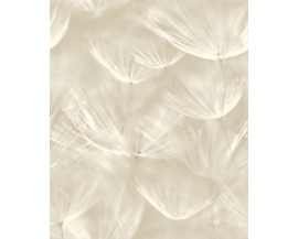 Tapeta 210901 Białe naturalne dmuchawce