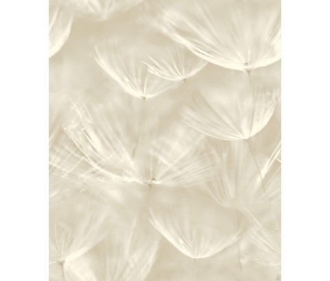 Tapeta 210901 Białe naturalne dmuchawce