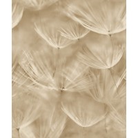 Tapeta 210902 Beżowe naturalne dmuchawce