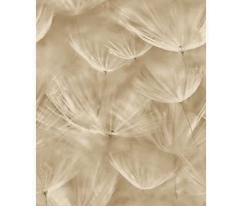 Tapeta 210902 Beżowe naturalne dmuchawce