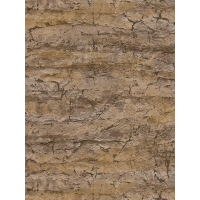 Tapeta 79199-1 Postarzany tynk