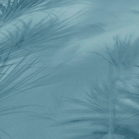 Tapeta niebieskie liście w stylu tropikalnym